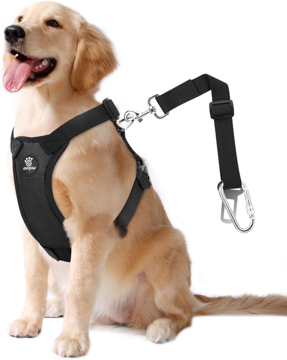 Comparing Pet Safety: Seat Belt vs. Booster Seat