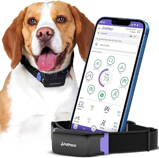 Head-to-Head: PetPace 2.0 vs Tractive GPS Tracker Review