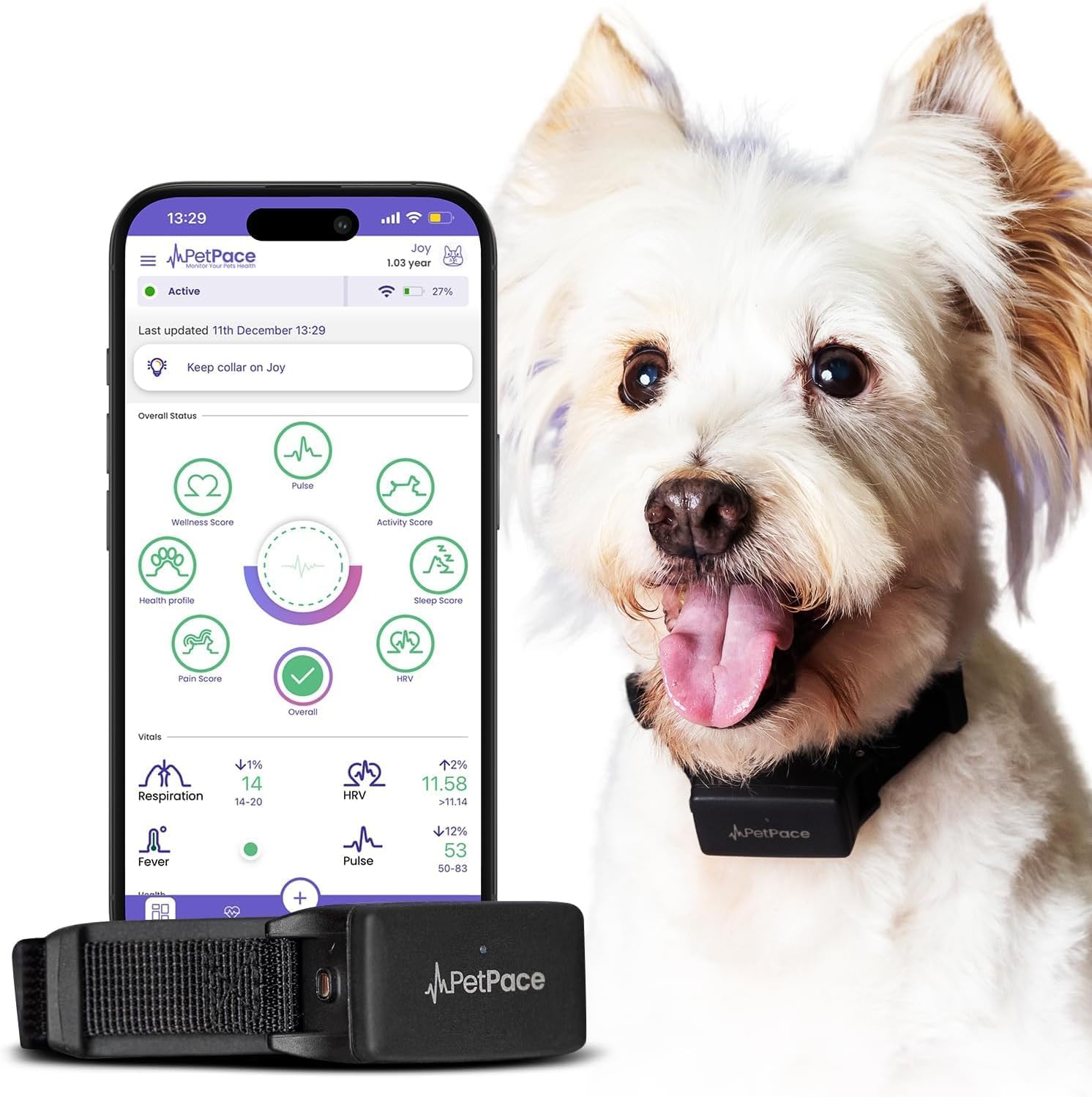 PetPace Smart Collar 2.0: The Game-Changer for Your Dog's Health!