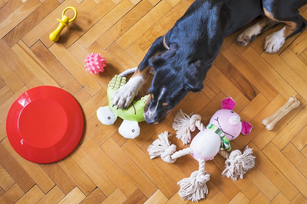 Step-by-Step Guide to Engaging Your Dog with Fun Interactive Toys