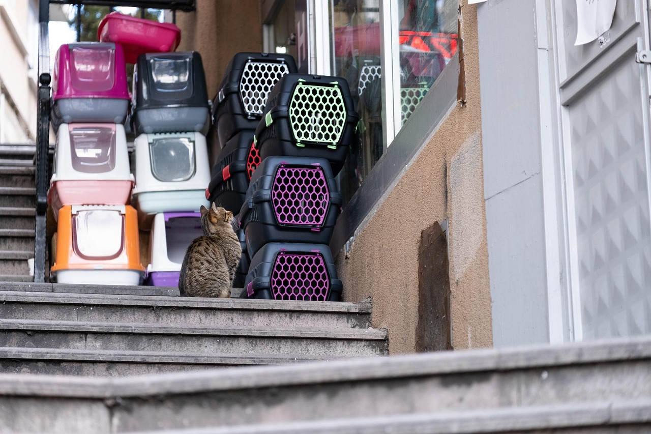 Top 5 Pet Smart Carriers for Our Furry Friends
