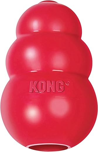 My Top 8 Interactive Dog Toys on Amazon